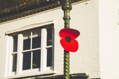 Why Are Remembrance Poppies Being Ripped Down from Lampposts?