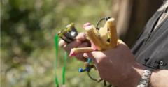 Calls for new law to cut catapult crime