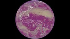 Ondasloteria federal caixa resultadosLamb