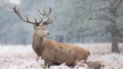 Your striking pictures of snow and frost across UK