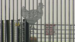 Tens of thousands of birds being culled over suspected avian flu