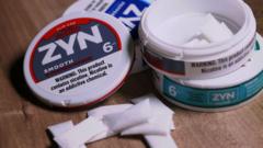 US FDA officially authorises Zyn nicotine pouches for sale