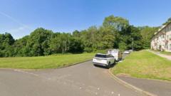 Tri o blant wedi'u hanafu yn dilyn digwyddiad yng Nghasnewydd