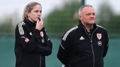 Wales name Swansea's Grey as full-time assistant