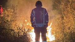 Nature reserve walkway fire believed to be accident