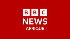 Tanzanie : les cafards, c'est bon pour la santé ! - BBC News Afrique