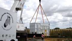 Elephants in 10-tonne crates moved to new home