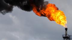 Oil refinery flare