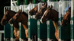 What Led to the Ban of Five Jockeys After a Blindfolded Horse Escaped in a Race?
