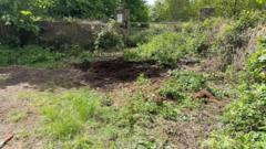 Council clears fly tip dumped six months ago