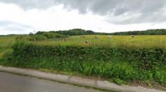 Plans for 650 homes and country park revealed