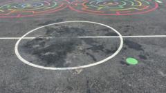 New sports pitch damaged by 'senseless vandalism'