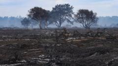 Heathland fire 'stable' as fundraiser set up