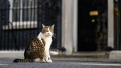 Macron jokes about Larry the cat with Starmer and Reeves