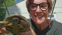 Scuttle the tortoise home after eight-month wander