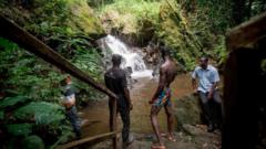 "Gabon" be 1st African nation paid by 'Cafi for protecting dia rainforest