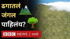 पर्यावरण