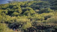 Lost walker rescued from dense cliff terrain