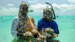 Les militants des droits des femmes affirment que la culture des éponges de mer a sorti des femmes de Zanzibar de la pauvreté.