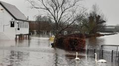 Dozens of flood warnings in England after days of non-stop rain