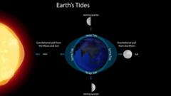 Illustration of how the gravitational pull from the sun and moon cause tides