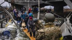 La centenaria historia del aguardiente de las trincheras de la Primera  Guerra Mundial - BBC News Mundo