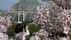 Watch: The blossoming sounds of Kew Gardens
