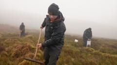 The 'secret' and mysterious world of moss picking