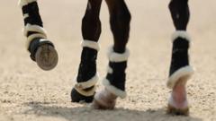 How Did a 37-Year-Old Horse Rider Tragically Die After a Fall?