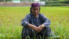 Is Kashmir&#039;s Heat Crisis Endangering Health and Harvests?