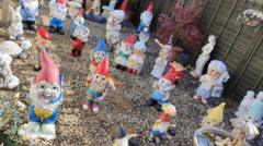Gnomes looking for homes traumatise neighbourhood