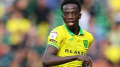 Diallo return will be like 'new signing' for Norwich