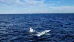 Two rescued after aeroplane emergency landing off Welsh coast