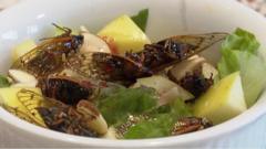 Cicadas on the menu in New Orleans