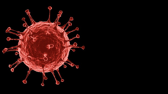 Image of wetin di coronavirus look like