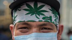 An activist wears a marijuana leaf headband during a pro-legalisation protest in Thailand in April