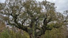 Sherwood Forest naked ramblers leave locals hot under collar - BBC News