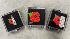 Themed poppy designs will help RBL raise £100k