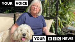 More pets being put down due to rising vet bills, BBC told