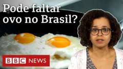 Afinal, comer ovo faz bem ou faz mal à saúde? Confira o que diz a Ciência -  BBC News Brasil