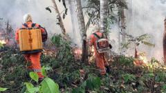Firefighters shows a fire at the Brazilian Amazonia