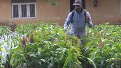 OMS quer que outros países, como Índia e a Nigéria, sigam o exemplo do Sri Lanka, que proibiu os pesticidas mais perigosos e registrou uma queda de 70% no número de suicídios.