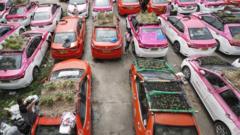 A sea of vegetables grow on the roofs of abandoned taxis in Ratchaphruek Taxi Cooperative in Bangkok, Thailand.