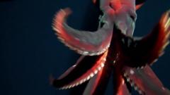 Rare footage shows deep-sea squid attacking camera