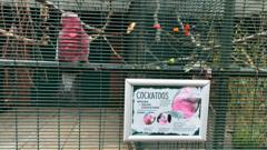 Decision to close 'inhumane' aviary questioned