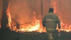 лесной пожар в Свердловской области
