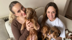 Call to ban newborn puppy-cuddling events