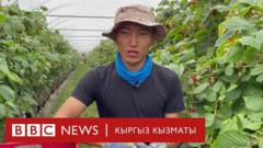 Ферма