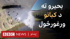 د الوتونکو کبانو په اړه مو کله اورېدلي؟ د امریکا یوتا ایالت چارواکو له هوا نه سمندرګیو ته کبان ورغورځولي دي