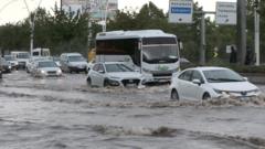 Ankara sel